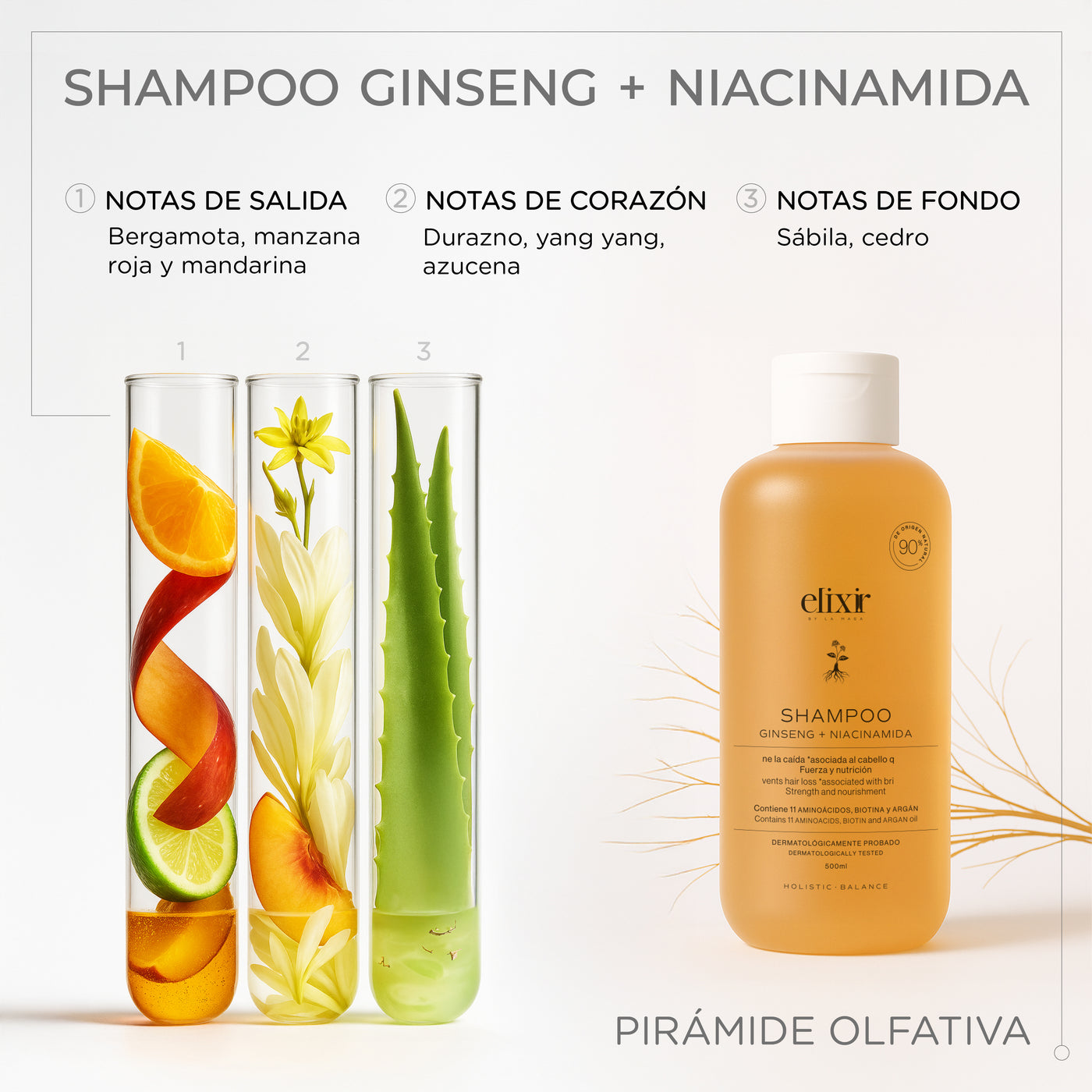 Shampoo Gingseng + Niacinamida