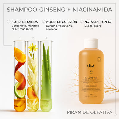Shampoo Gingseng + Niacinamida