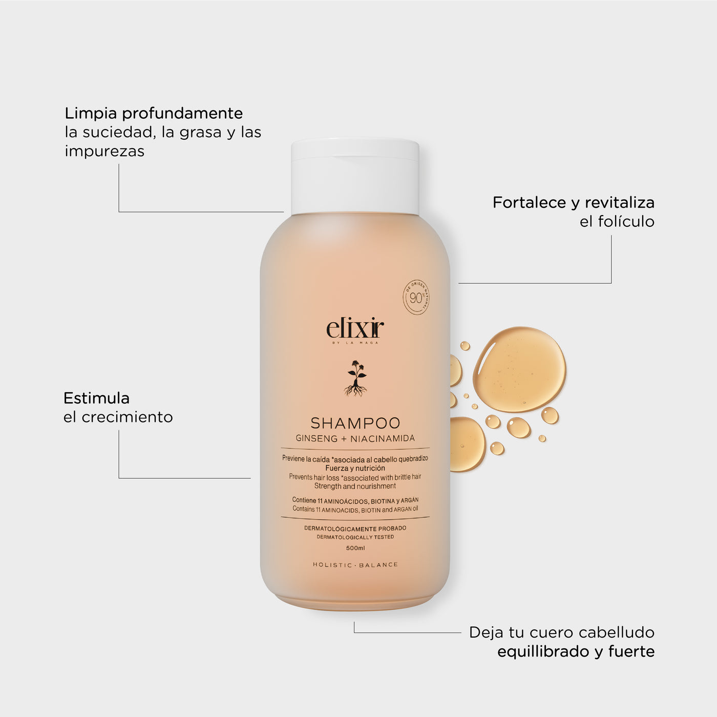 Shampoo Gingseng + Niacinamida